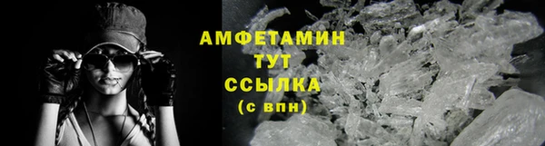 МДПВ Бородино