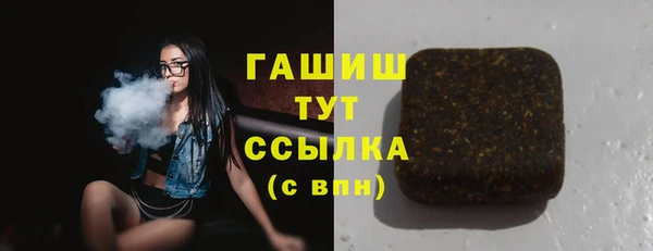 МДПВ Бородино