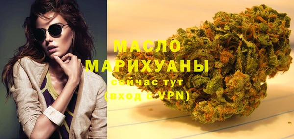 МДПВ Бородино
