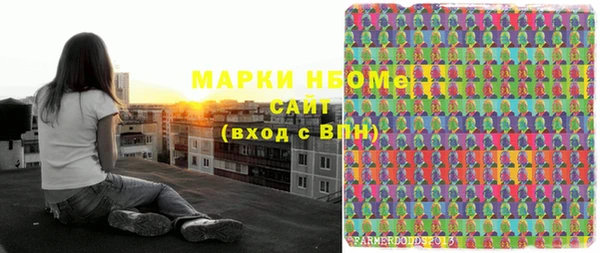 МДПВ Бородино