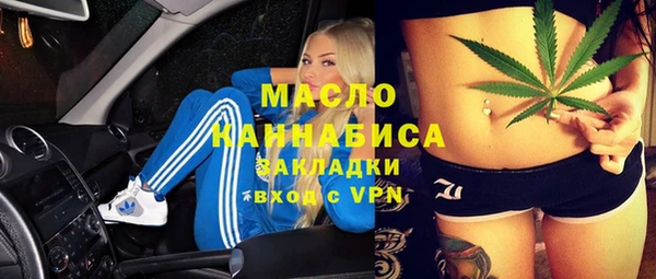 МДПВ Бородино