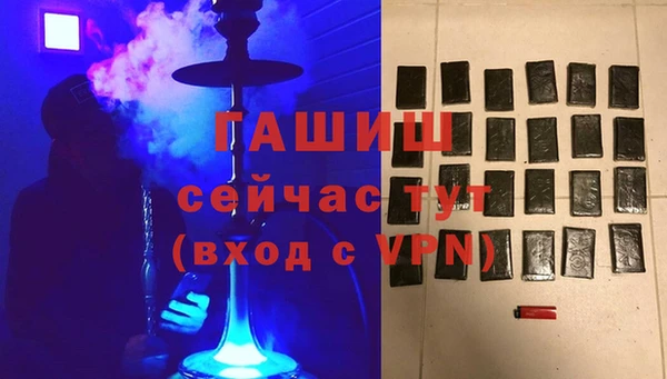 МДПВ Бородино