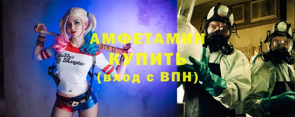 МДПВ Бородино