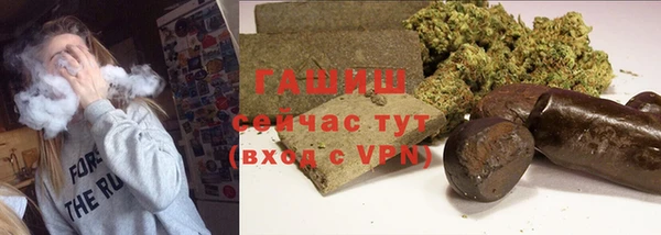 МДПВ Бородино