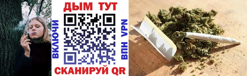 Купить где Солнечногорск Марихуана White Widow